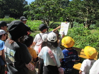 チェックポイントでクイズに挑戦！